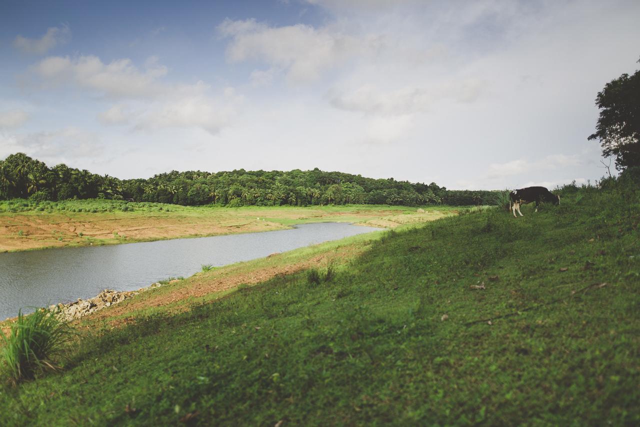 Riverine Springs Wadakkanchery Kültér fotó